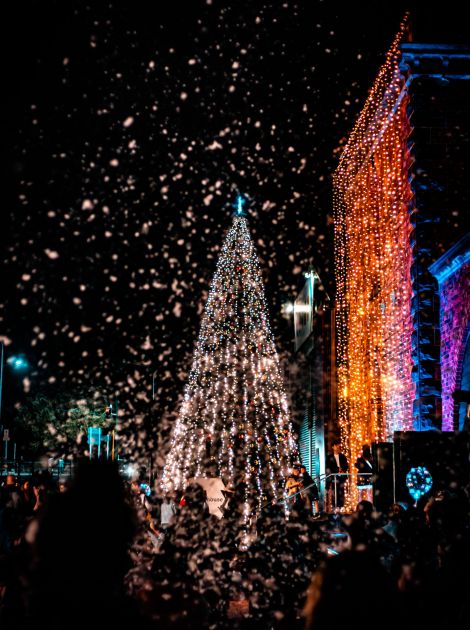 Christmas Lights at MOTAT, Christmas Lights at MOTAT is back this Festive  Season!